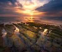 成人啪啪视频-与网络伦理的边界