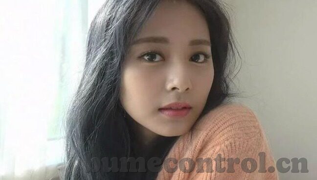 大象传媒的美女-美女与大象传媒的独特魅力