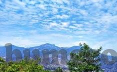 大象视频app最新下载www-探索大象视频APP，最新下载指南与体验分享