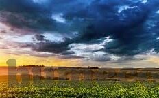麻豆91亚洲国产手机在线-麻豆91，探索国产手机影视内容的趣味与挑战