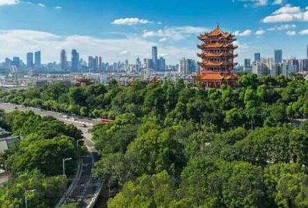 麻豆av免费-探索成人网络内容对信息时代的影响与界限——以麻豆av免费现象为例