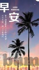 麻豆传媒黄-麻豆传媒的迷思与当代网络文化的反思