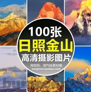 麻豆视频网-麻豆视频网，视听盛宴下的网络浪潮与反思
