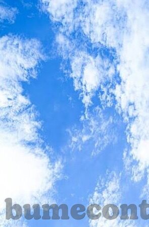 如何下载麻豆传媒-探索成人世界的奥秘，如何合法下载麻豆传媒