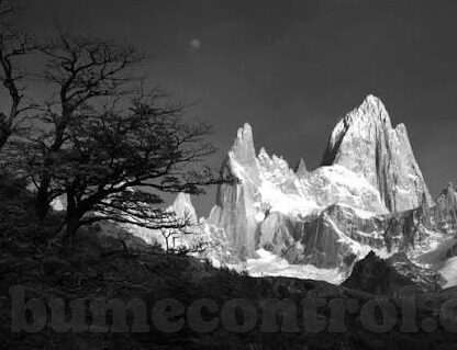 糖心vlog视频在线观看入口-寻找糖心vlog视频的精彩之旅